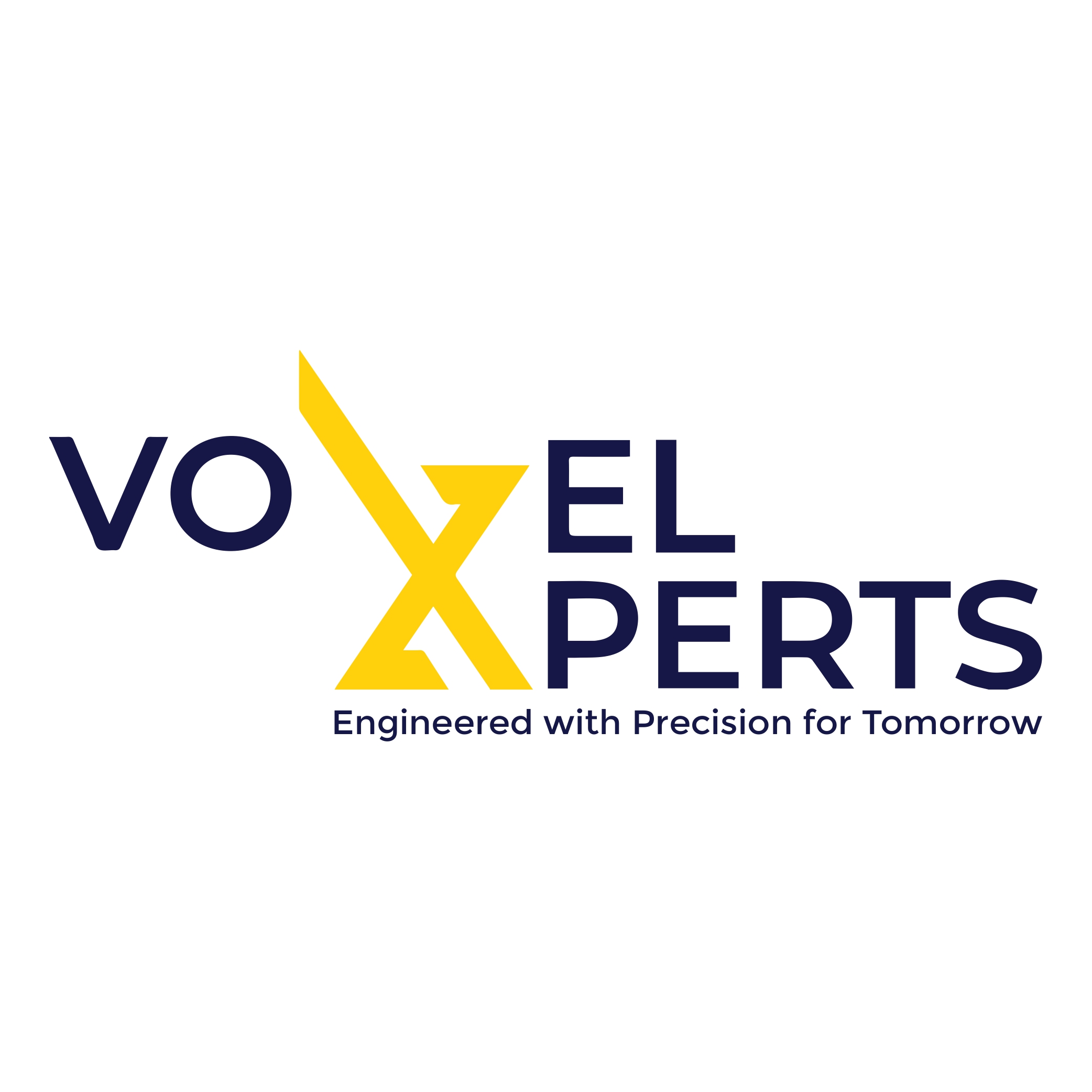 VoxelXperts