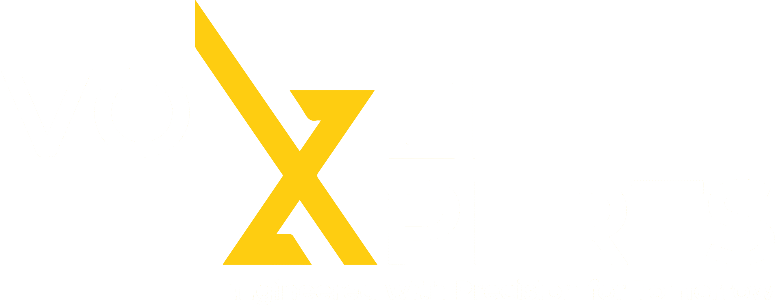 VoxelXperts