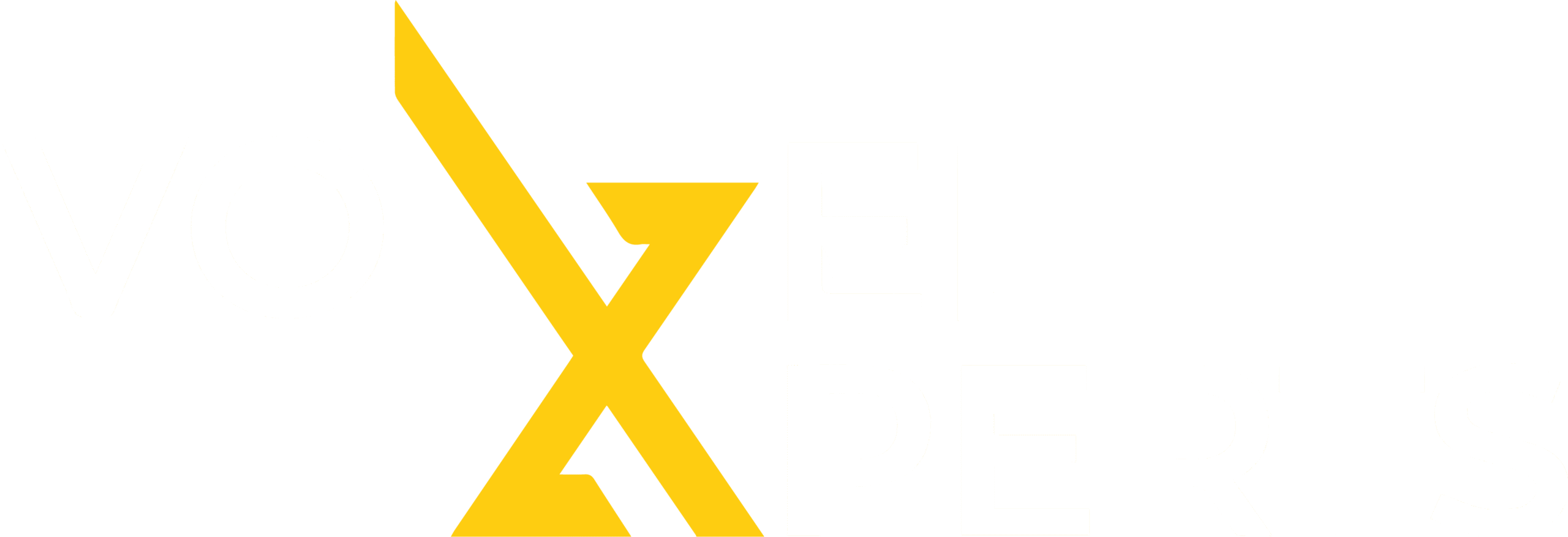 VoxelXperts